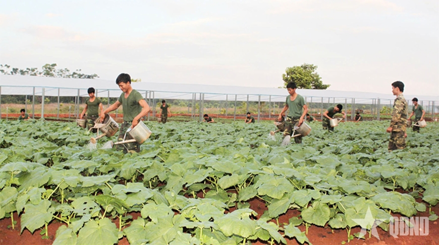 Hiệu quả từ các mô hình tăng gia sản xuất ở Sư đoàn 302 (Quân khu 7)